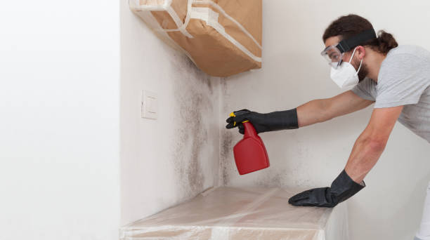 Professional Mold Removal technician working in Freeport, NY
